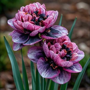 Нарцисс Моргатн Мотив купить по цене от 2000р. в интернет-магазине «Посадика» с доставкой почтой в в Октябрьске и по всей России – [изображение №1].