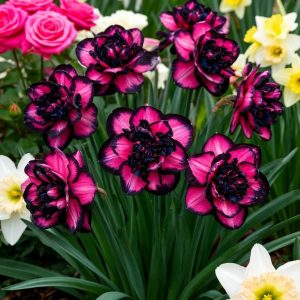 Нарцисс Золотая Корона купить по цене от 2000р. в интернет-магазине «Посадика» с доставкой почтой в в Октябрьске и по всей России – [изображение №1].